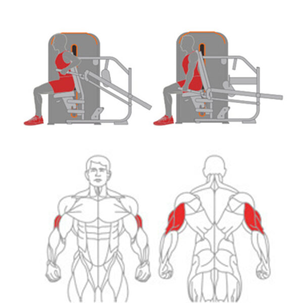 O-008 Tricep Seated Dip - Image 2