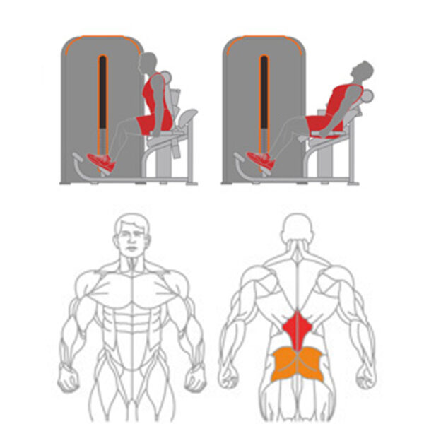 O-009 Back Extension - Image 2