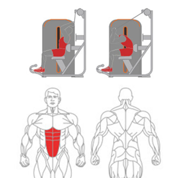 O-010 Abdominal Isolator - Image 2