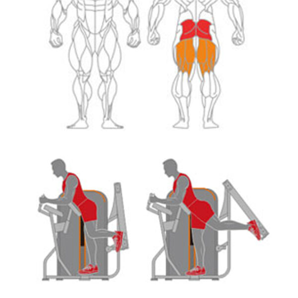 O-016A Standing Glute Extension - Image 2