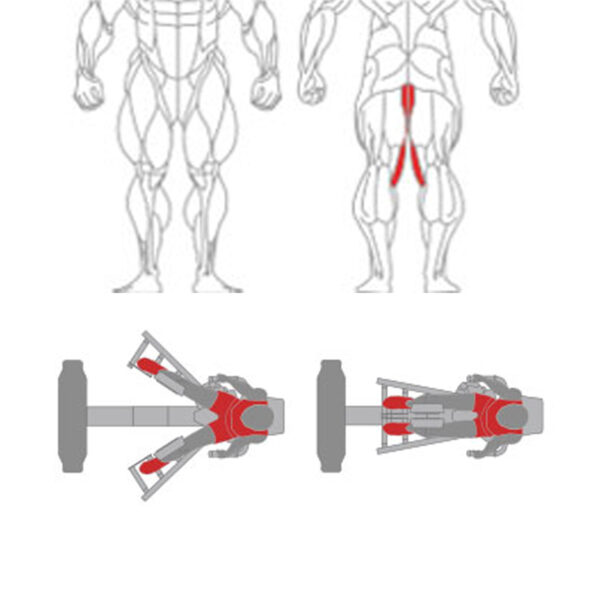 O-018 Hip Abductor - Image 2