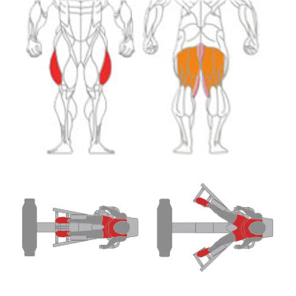 O-019 Hip Adductor - Image 2