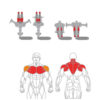O-002A Rear Delt / Pec Fly - Image 8