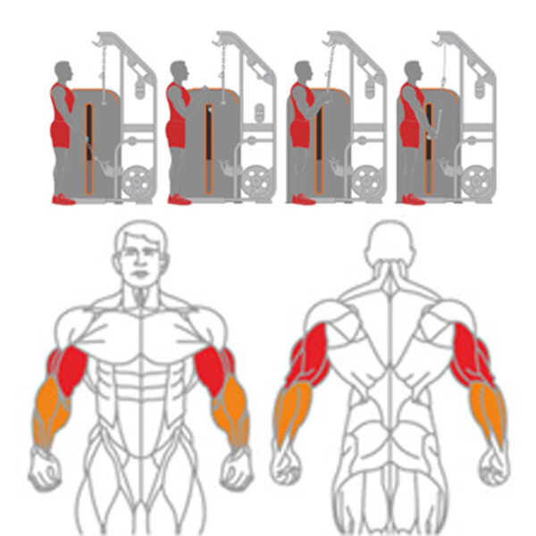 O-007A Cable Biceps & Triceps - Image 7
