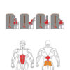 O-009A Abdominal Crunch + Back Extension - Image 2