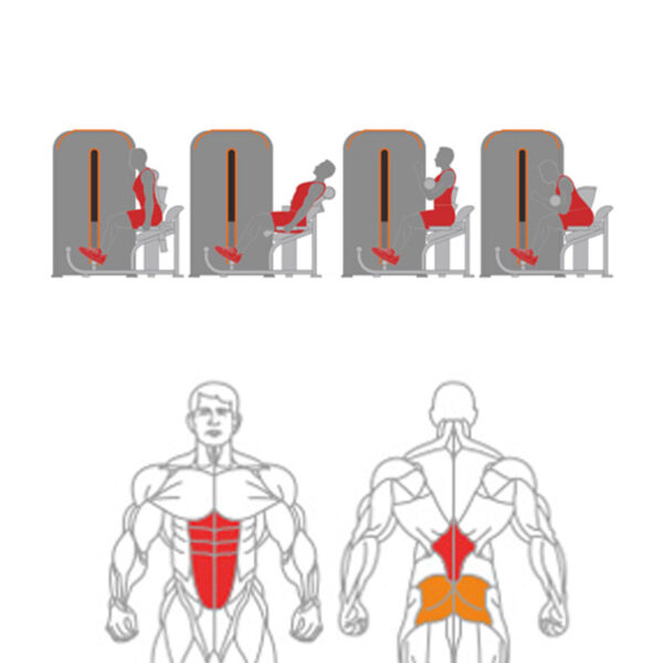 O-009A Abdominal Crunch + Back Extension - Image 2