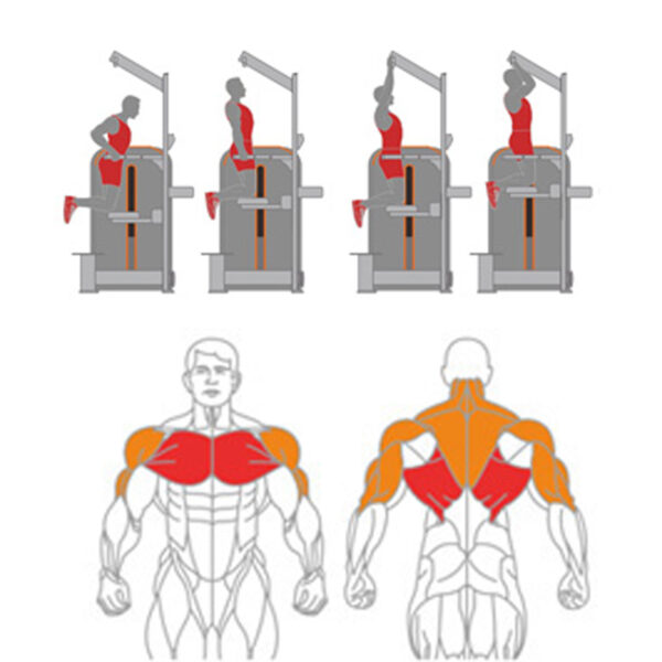 O-011 Chin + Dip Assist - Image 2
