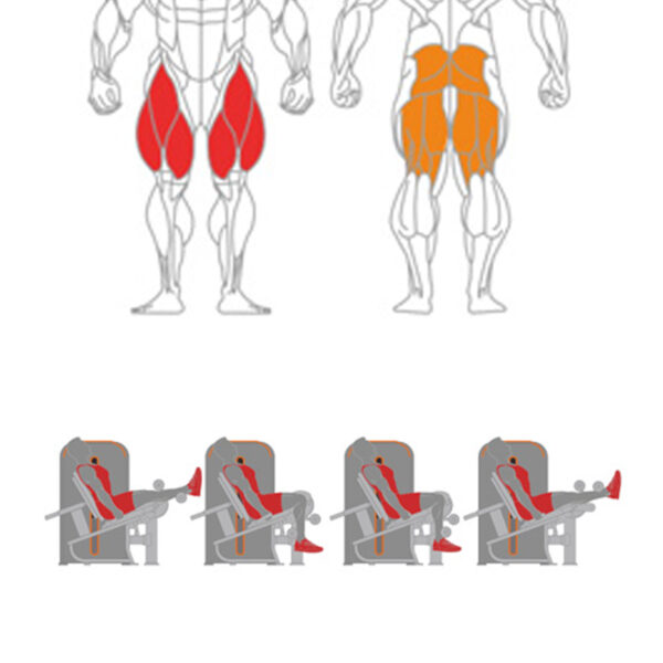 O-014A Leg Extension + Leg Curl - Image 8