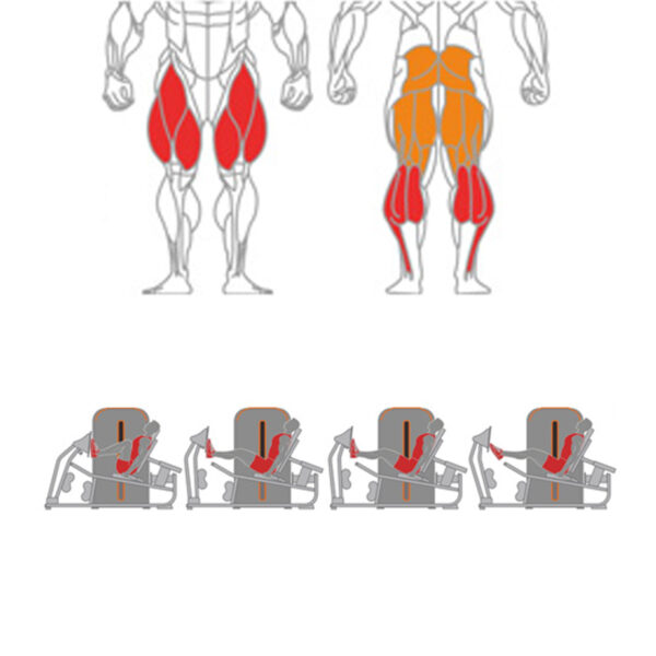 O-015 Seated Leg + Calf Press - Image 2