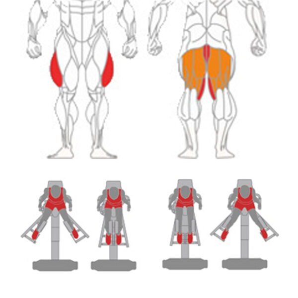 O-019A Abductor + Adductor - Image 2