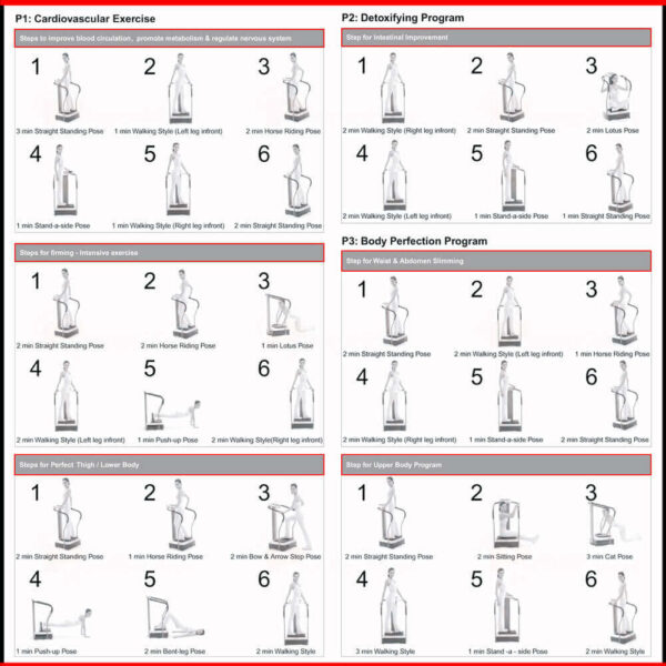 VP-500 Full Body Vibration Machine - Image 8