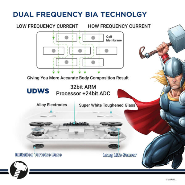 BCA-140 Thor Edition Bluetooth Smart Scale - Image 8