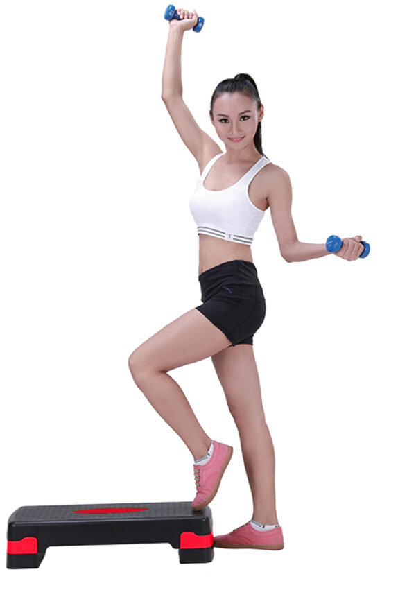 ST-2L Aerobic Stepper for Home - Image 2