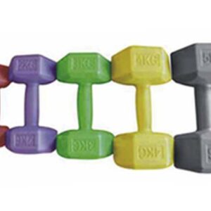 Vinyl Dumbbell