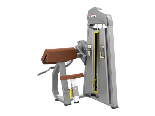 CS-006 - Biceps Curl