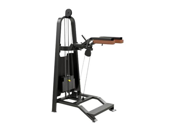 CS-017 Standing Calf