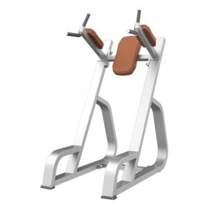 CS-027 Vertical Knee Raise