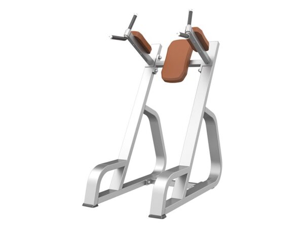 CS-027 Vertical Knee Raise