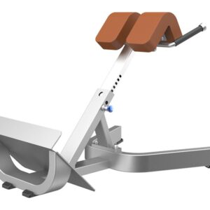 CS-028 Back Hyper Extension/ Roman Chair