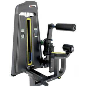 DS-009A –Abdominal Crunch + Back Extension
